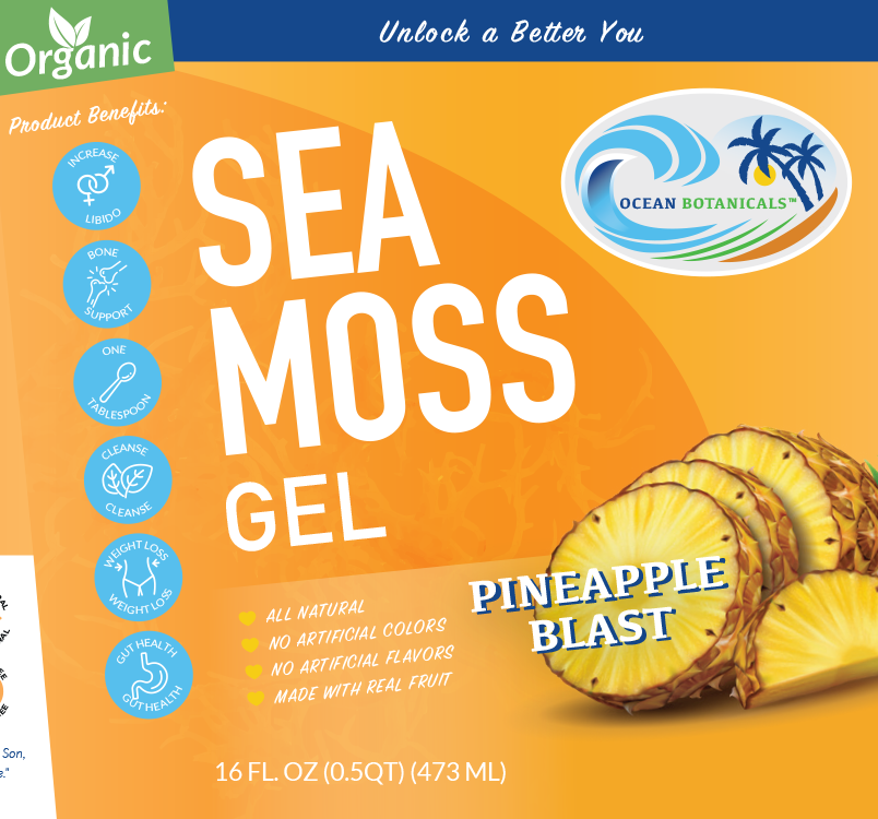 Pineapple Sea Moss Gel - Ocean Botanicals