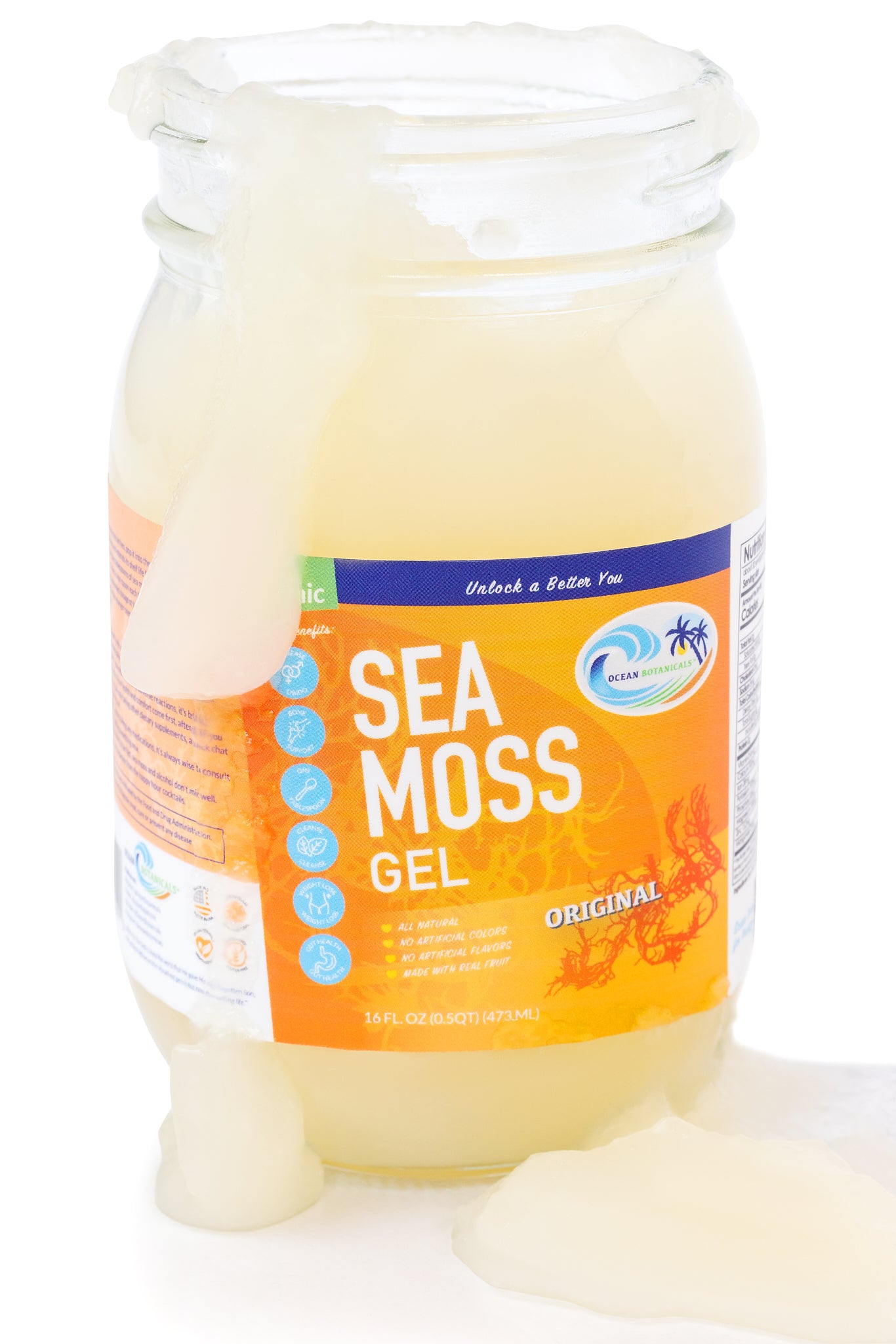 Wildcraft Sea Moss Gel - Ocean Botanicals
