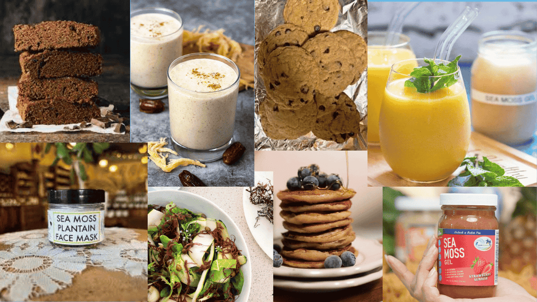 23 Creative Ways People are Using Sea Moss in 2025