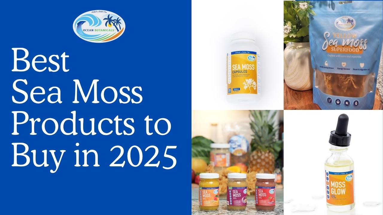 The Best Sea Moss Products to Buy in 2025