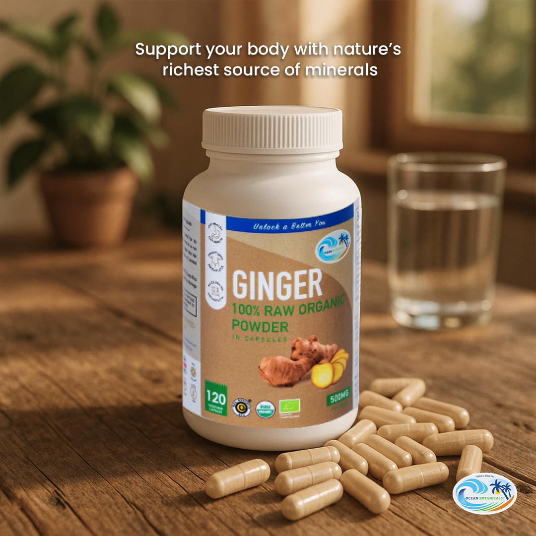 Ginger Caps USDA-Certified Organic Ginger Capsules | Ocean Botanicals