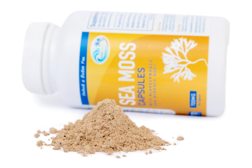 Sea Moss With Bladderwrack And Burdock Root Capsules - Ocean Botanicals