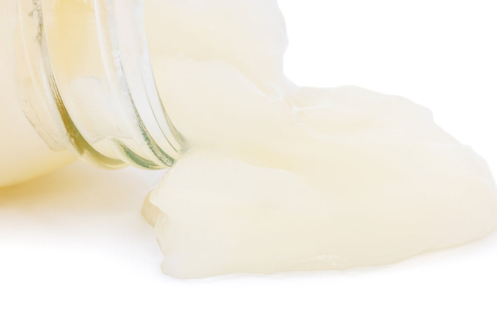 Wildcraft Sea Moss Gel - Ocean Botanicals