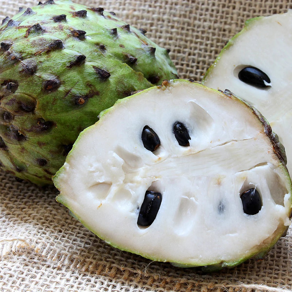 Sample Seamoss Gel (Soursop)