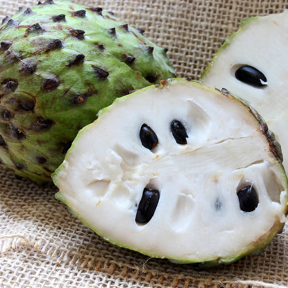 Sample Seamoss Gel (Soursop)