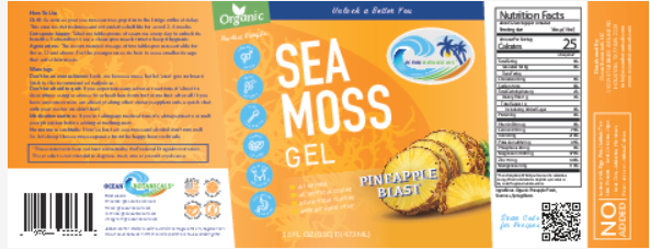 
                  
                    Pineapple Sea Moss Gel
                  
                
