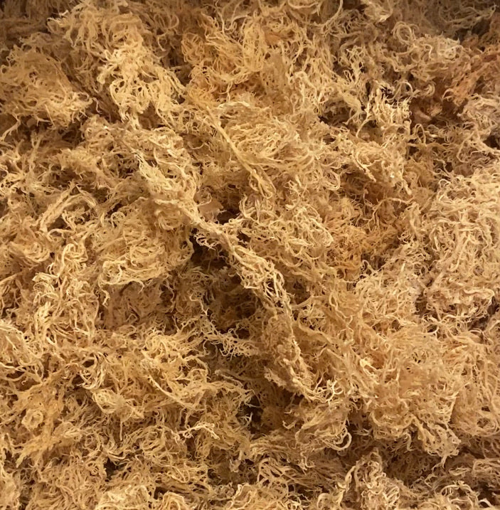 Sea Moss Bulk