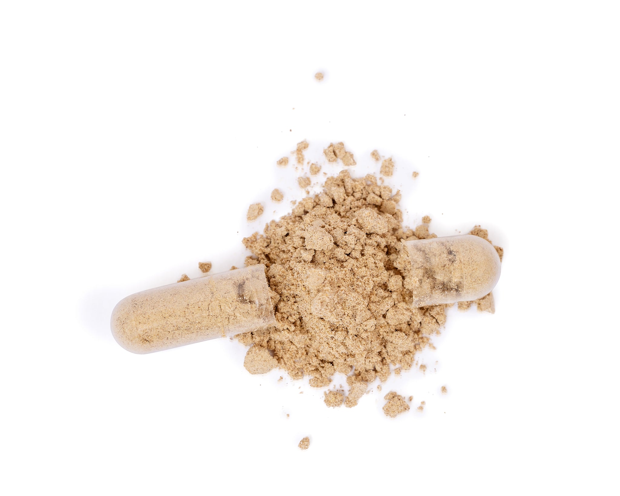 Sea Moss Capsules from Ocean Botanicals
