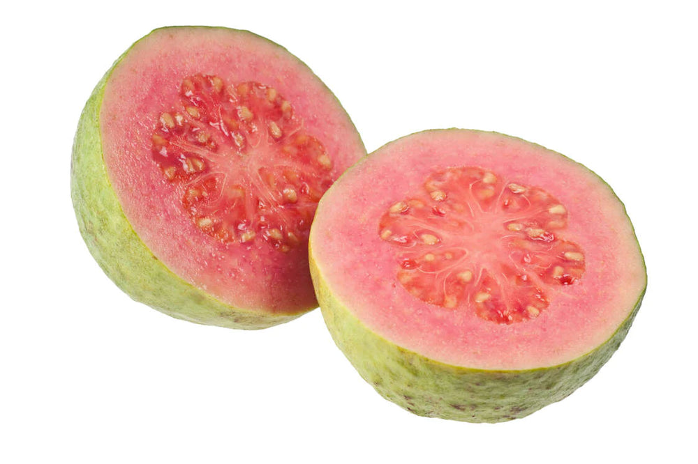 
                  
                    Pink Guava Moss Gel - Ocean Botanicals
                  
                